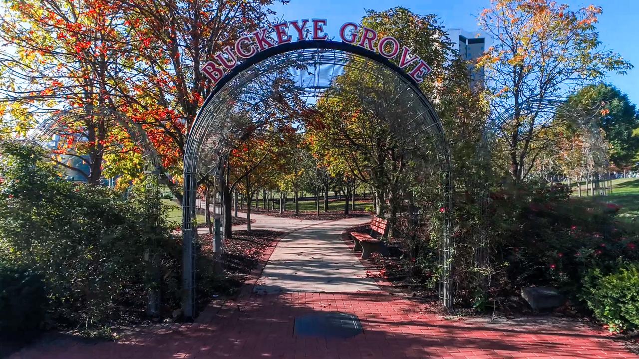 The entrance to Buckeye Grove taken in the Autumn